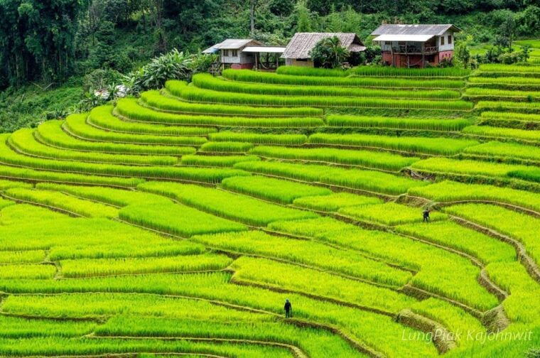 chiang-mai-doi-inthanon-park-waterfall-guided-car-tour