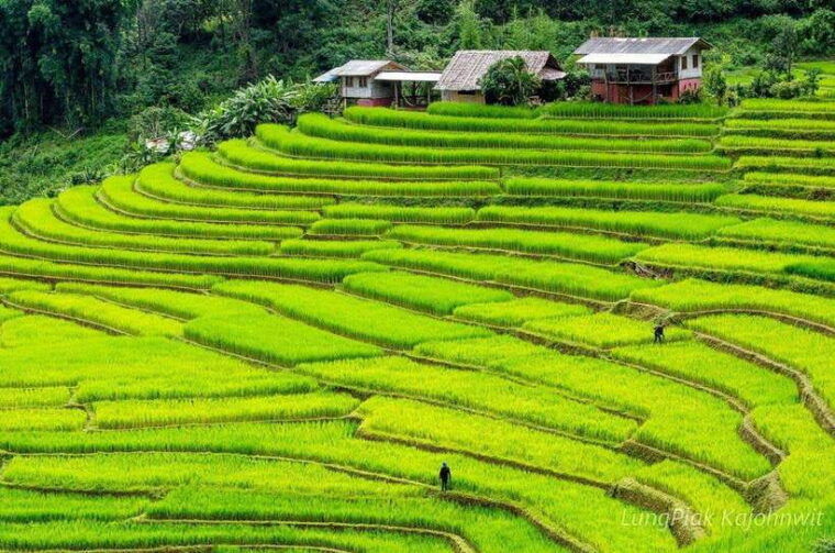 chiang-mai-doi-inthanon-park-waterfall-guided-car-tour
