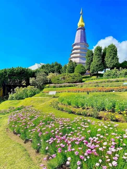 Chiang Mai Doi Inthanon Park Waterfall Pure Sightseeing Tour - Key Points