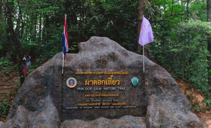 Chiang Mai: Doi Inthanon Trip with Pha Dok Siew Guided Trek - Key Points