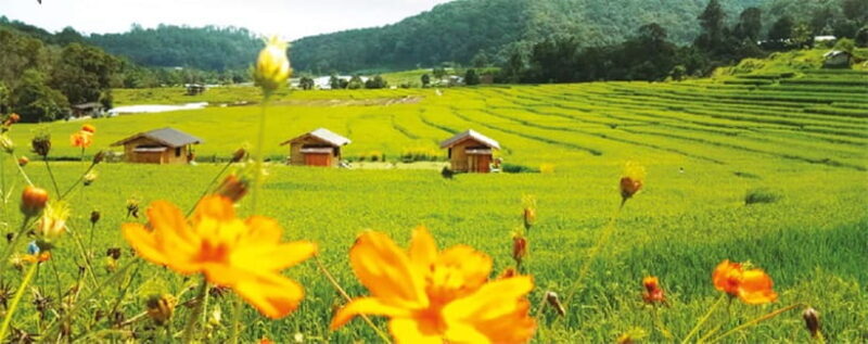 Chiang Mai: Doi Inthanon Trip with Pha Dok Siew Guided Trek - Final Thoughts: Is This Tour Right for You?