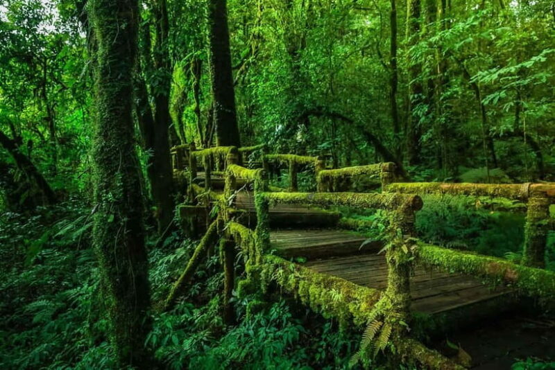 Chiang Mai: Doi Inthanon Trip with Pha Dok Siew Guided Trek - FAQs