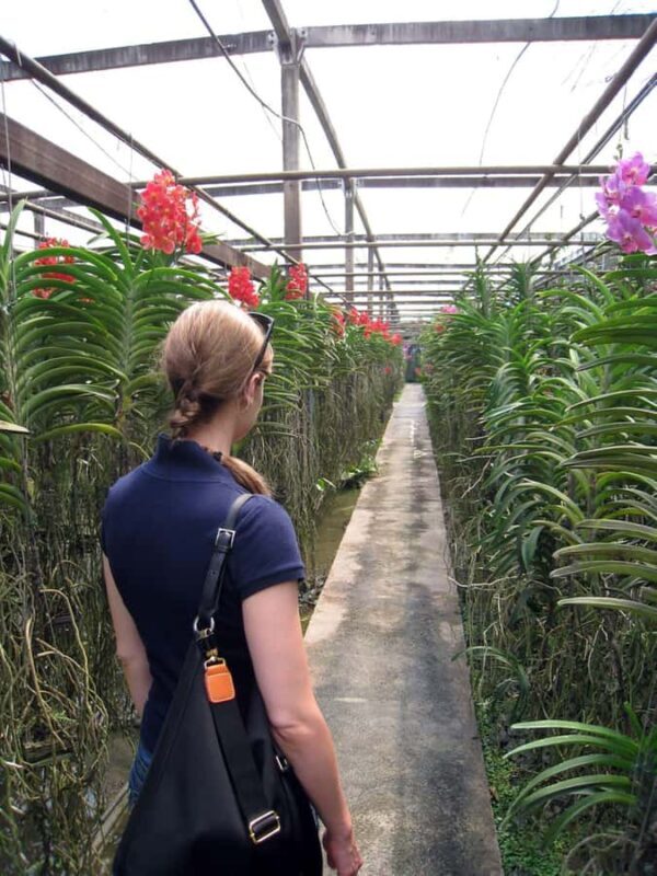 Chiang Mai: Doi Suthep, Orchid Farm and Waterfall with Lunch - FAQ