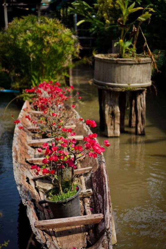 chiang-mai-doi-suthep-orchid-farm-and-waterfall-with-lunch