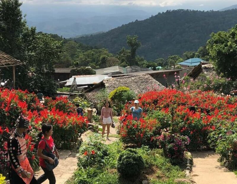 Chiang Mai: Doi Suthep Private Highlights (No Hiking) - The Sum Up