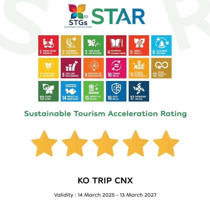 Chiang Mai: Doi Suthep, Wat Pha Lat & Michelin Food Tour - A Deep Dive into Each Stop