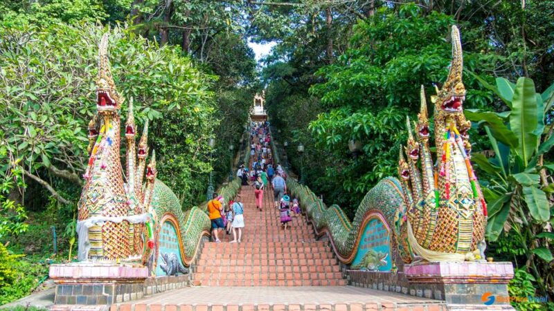 chiang-mai-doi-suthep-wat-pha-lat-wat-umong-spanish-tour