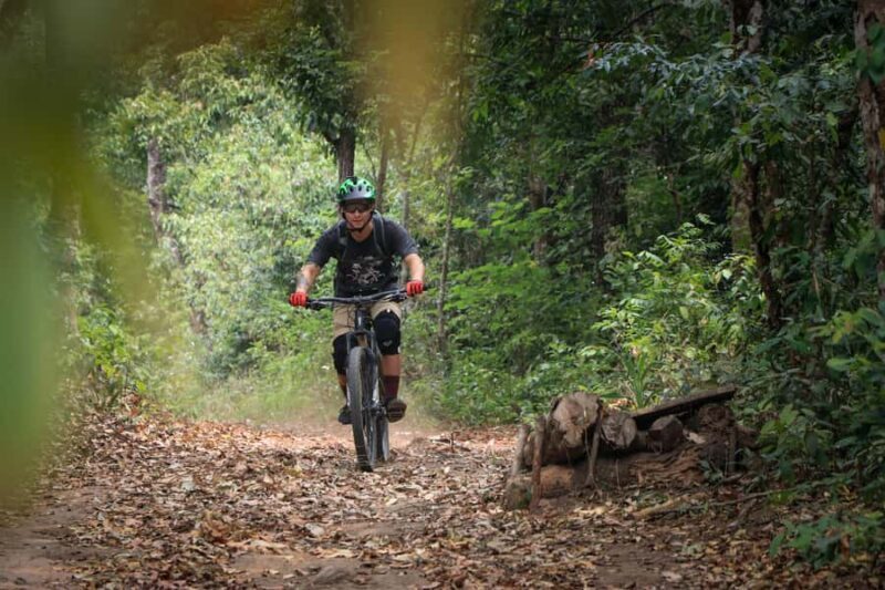 Chiang Mai: Downhill Mountain Biking Experience - Who this tour is best suited for: