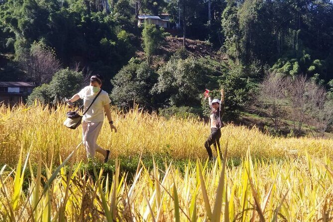 Chiang Mai Eco Trek Biggest Waterfall The Peak Of Thailand 1 Day - A Full Breakdown of the Chiang Mai Eco Trek Experience