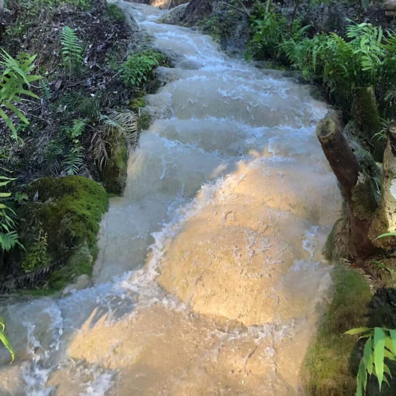 Chiang Mai: Elephant care & Long Neck &Sticky Waterfall Tour - Key Points