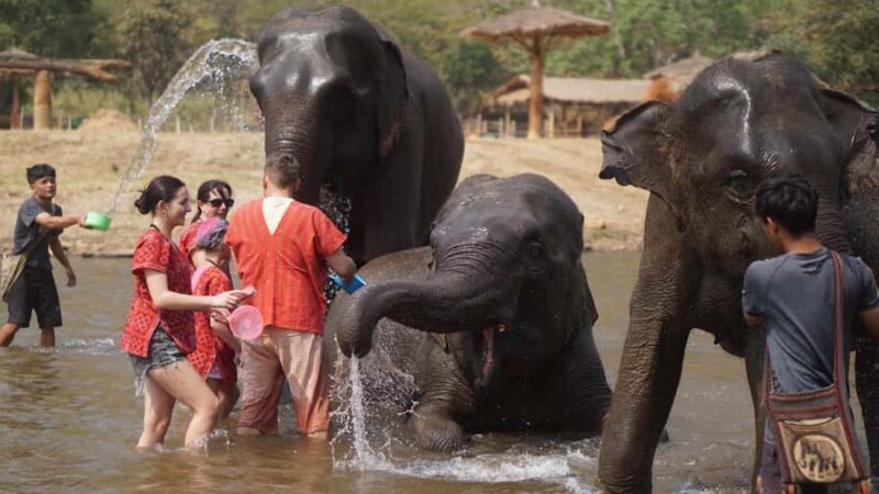 Chiang Mai: Elephant care & Long Neck &Sticky Waterfall Tour - An In-Depth Look at the Tour
