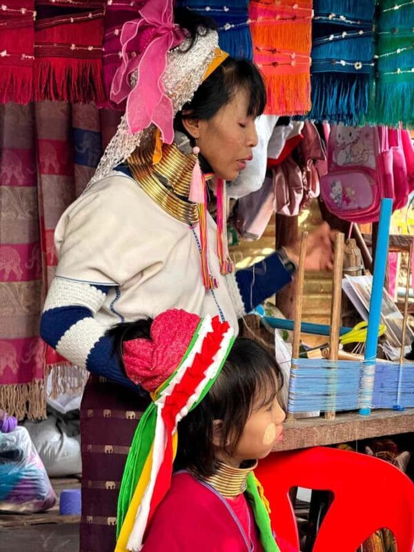 Chiang Mai : Elephant Care & Long necked village - Who Will Love This Tour?