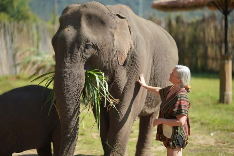 Chiang Mai: Elephant Care Mae Win&15 Ziplines-Tribe-Coffee - Chiang Mai: Elephant Care Mae Win & 15 Ziplines-Tribe-Coffee — An Authentic Adventure