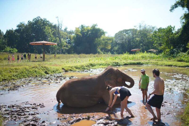 Chiang Mai: Elephant Care Mae Win&15 Ziplines-Tribe-Coffee - Exploring the Itinerary in Detail