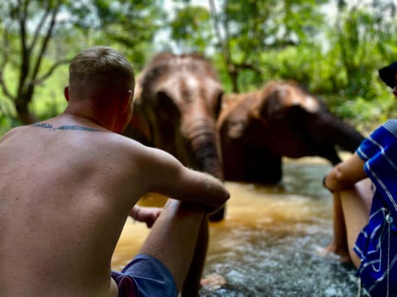 Chiang Mai: Elephant Dream Project Sanctuary - Full Day - FAQ