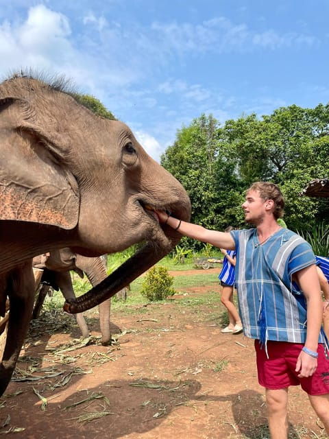 chiang-mai-elephant-dream-project-sanctuary-half-day