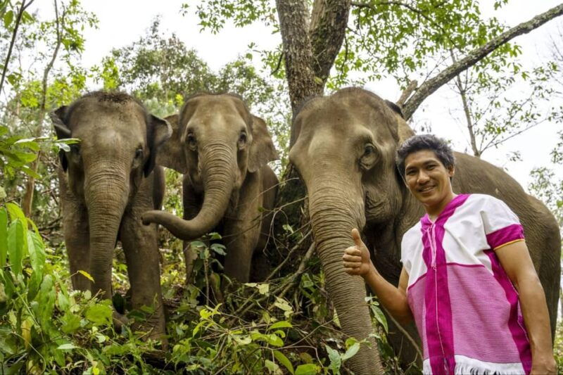 chiang-mai-elephant-dream-project-sanctuary-half-day