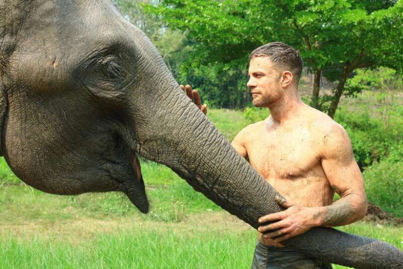 chiang-mai-elephant-feeding-experience