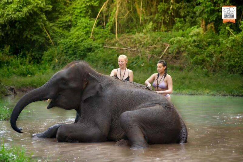 Chiang Mai Elephant Jungle Sanctuary &Mama Noi Cooking Class - An Authentic Day with Elephants in Chiang Mai