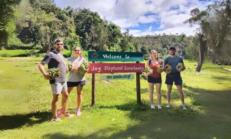 Chiang Mai: Elephant Observation & Wang River Bamboo Rafting - What Travelers Are Saying