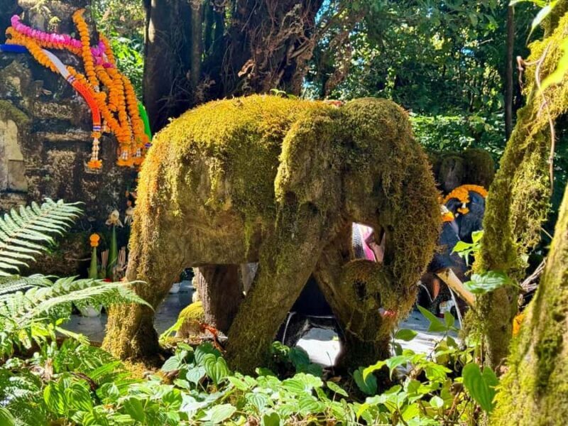 Chiang Mai Elephant Recovery Center, Doi Inthanon and Hiking - Who Is This Tour Best For?