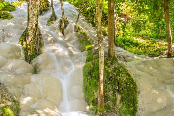 Chiang Mai Elephant Sanctuary and Sticky Waterfall Day Tour - What Makes This Tour Stand Out