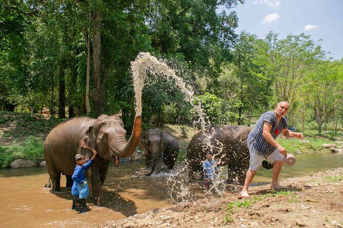 Chiang Mai Elephant Sanctuary and Sticky Waterfall Day Tour - Who Should Consider This Tour?