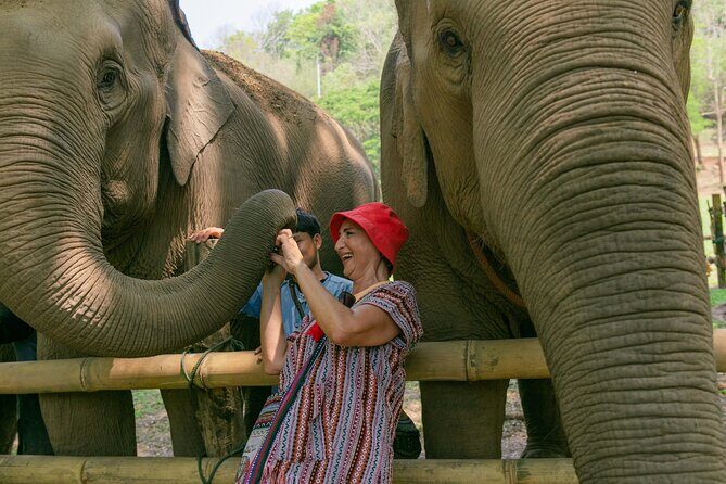 Chiang Mai Elephant Sanctuary and Sticky Waterfall Day Tour - FAQ