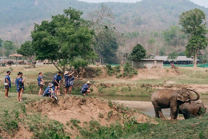 Chiang Mai Elephant Sanctuary, Bamboo Rafting and Waterfall Tour - Personal Experience & Authentic Insights from Reviews