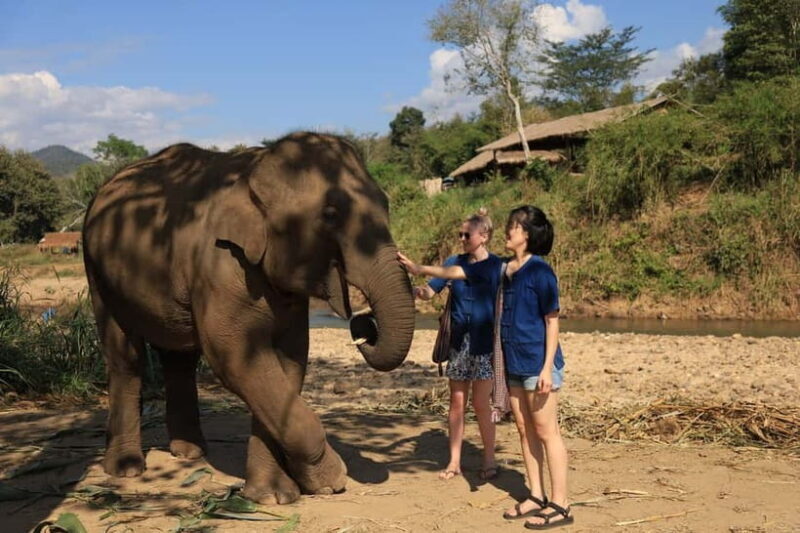 Chiang Mai: Elephant Sanctuary & Bamboo Rafting - Who Will Love This Tour?
