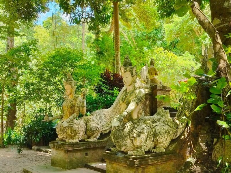 Chiang Mai: Elephant Sanctuary Experience & Doi Suthep Tour - The Practicalities: What to Expect and How It Fits Together