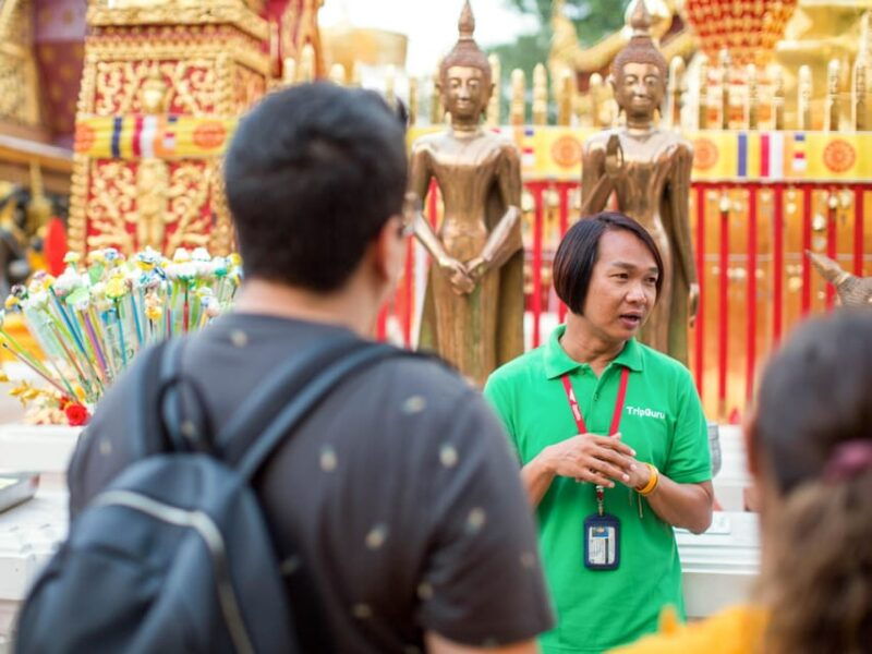 chiang-mai-elephant-sanctuary-experience-doi-suthep-tour