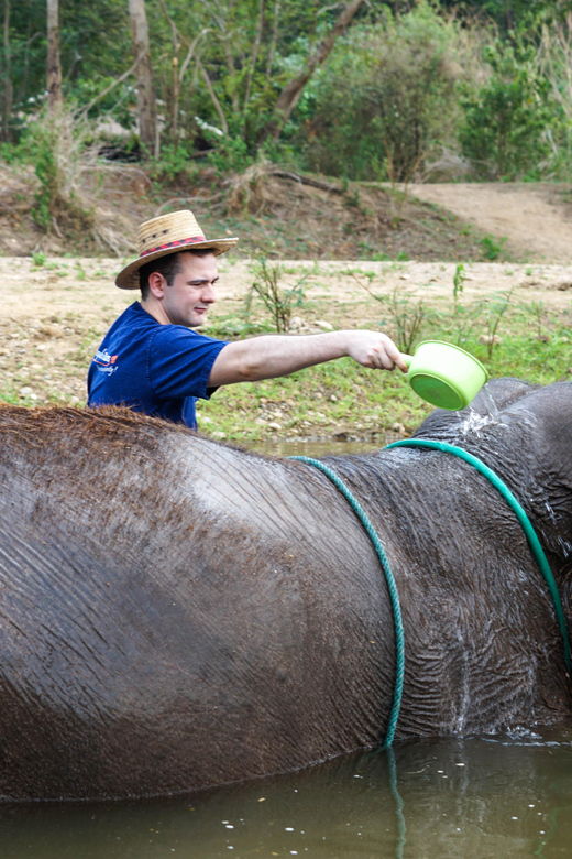 chiang-mai-elephant-sanctuary-experience-doi-suthep-tour