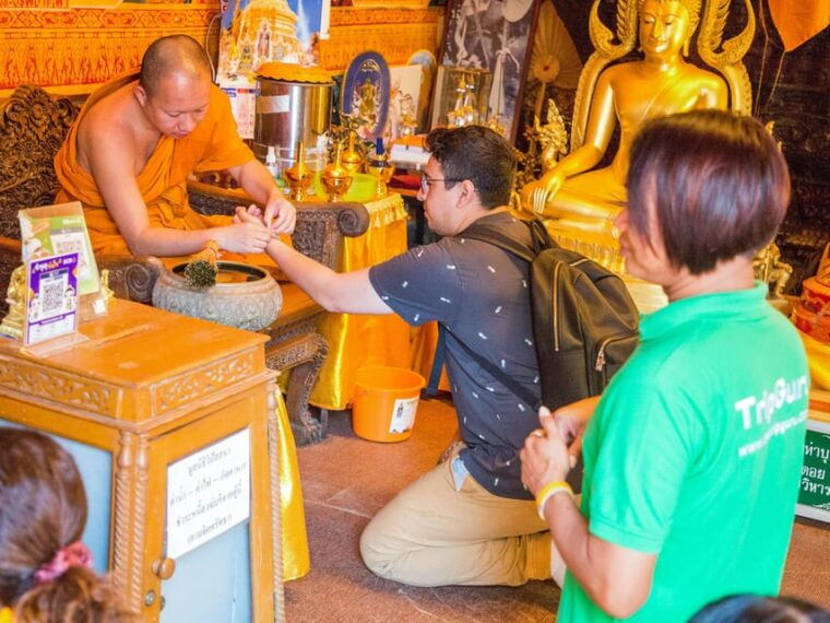 chiang-mai-elephant-sanctuary-experience-doi-suthep-tour