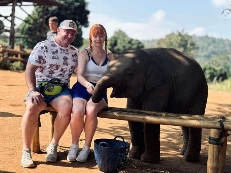 chiang-mai-elephant-sanctuary-feeding-program-half-day-tour