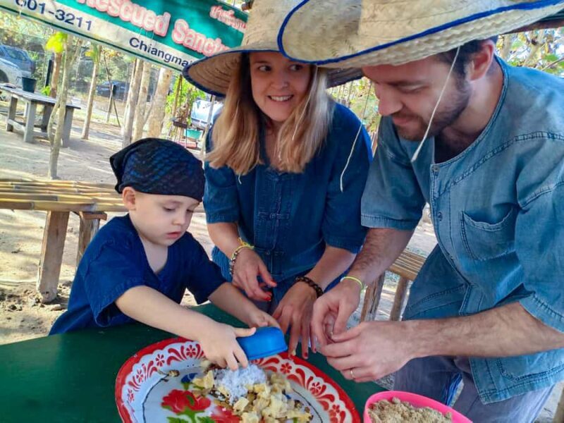 Chiang Mai: Elephant Sanctuary Guided Tour in Spanish - Key Points