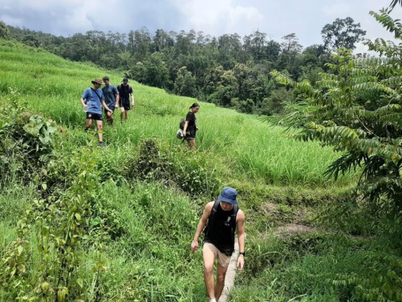 Chiang Mai: Elephant Sanctuary & Jungle Trek w/ Waterfall - Key Points