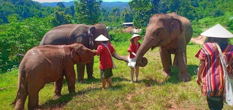 chiang-mai-elephant-sanctuary-local-hill-tribe-caretakers