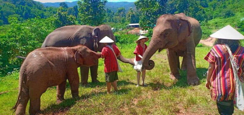 chiang-mai-elephant-sanctuary-local-hill-tribe-caretakers