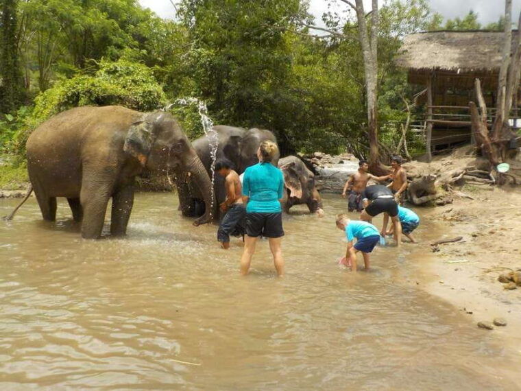chiang-mai-elephant-sanctuary-local-hill-tribe-caretakers