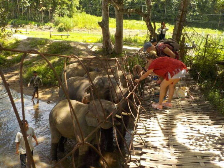 chiang-mai-elephant-sanctuary-local-hill-tribe-caretakers