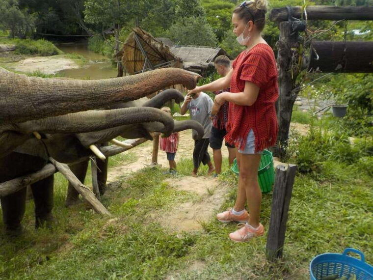 chiang-mai-elephant-sanctuary-local-hill-tribe-caretakers