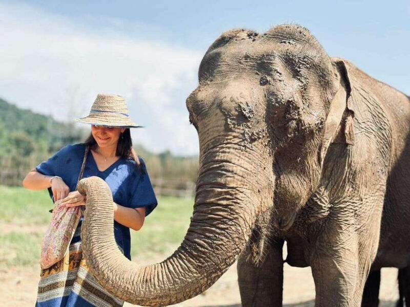 chiang-mai-elephant-sanctuary-long-neck-sticky-waterfall