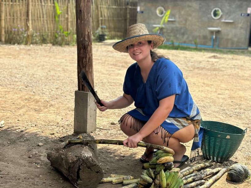 chiang-mai-elephant-sanctuary-long-neck-sticky-waterfall