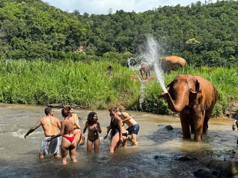 Chiang Mai: Elephant Sanctuary & Pha Chor Canyon - Introduction