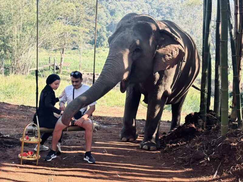 Chiang Mai: Elephant Sanctuary & Pha Chor Canyon - FAQ