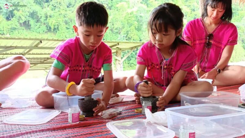 Chiang Mai: Elephant Sanctuary & Suthep Temple Sunrise View - Who Is This Tour Best For?