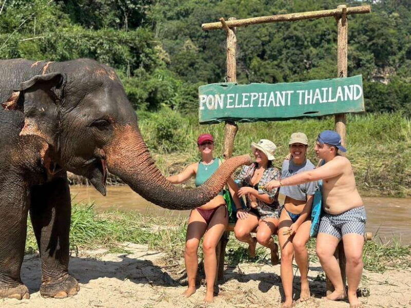 chiang-mai-elephant-sanctuary-waterfall-bamboo-rafting