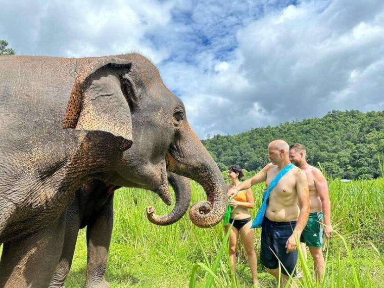 chiang-mai-elephant-sanctuary-waterfall-bamboo-rafting