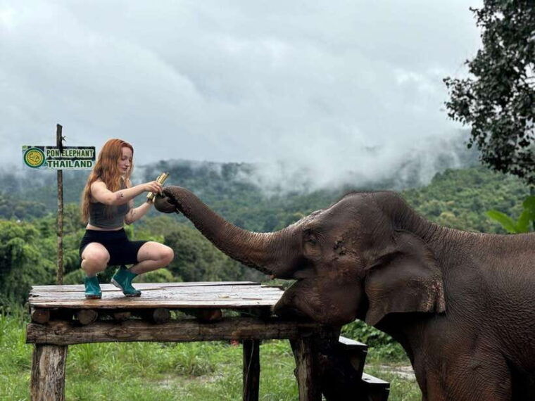 chiang-mai-elephant-sanctuary-waterfall-bamboo-rafting